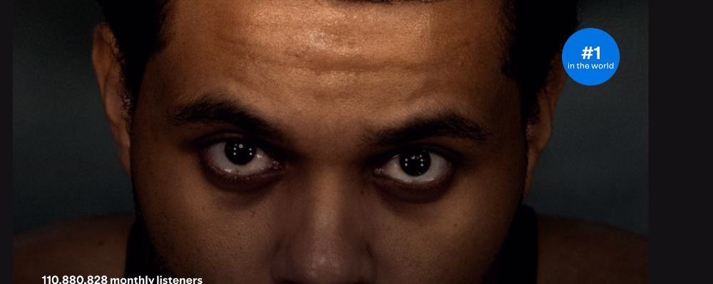 Cool house-banner-0 image