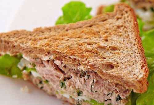 Tuna Sandwich. image